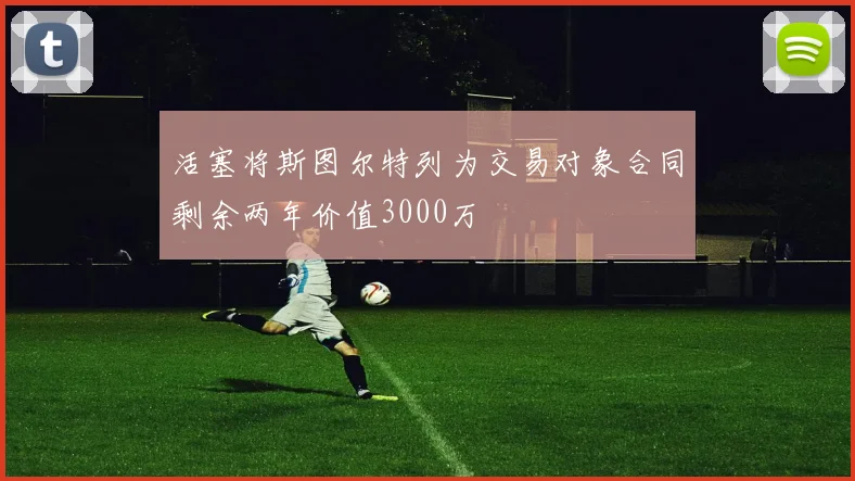 活塞将斯图尔特列为交易对象合同剩余两年价值3000万