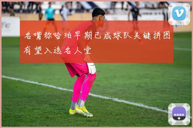 名嘴称哈珀早期已成球队关键拼图有望入选名人堂